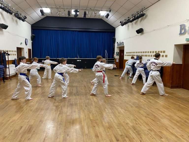 Group Poomse practice during class