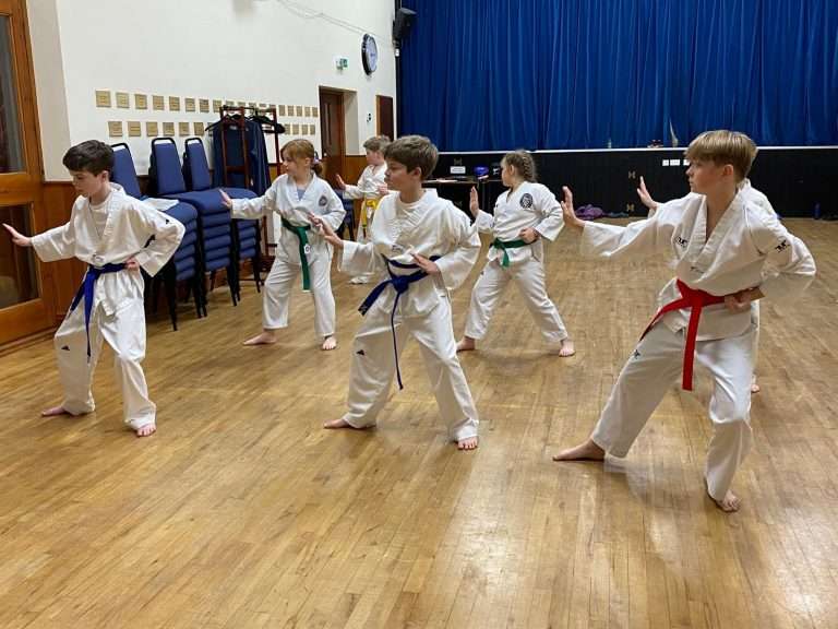 BaekHo Taekwondo students practicing Poomse, also known as Pattern.