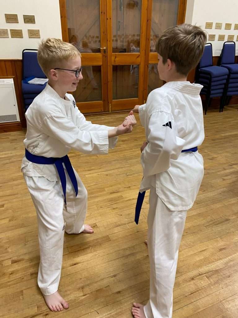 Image of two blue belt students practicing 'One Step'